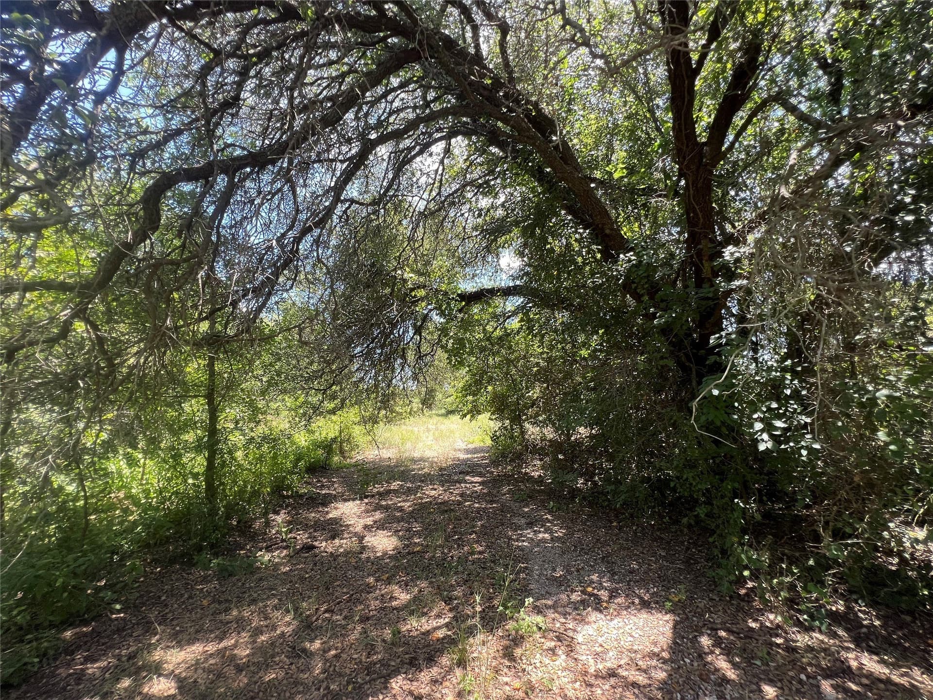 78 acres in Eastland County - photo 17