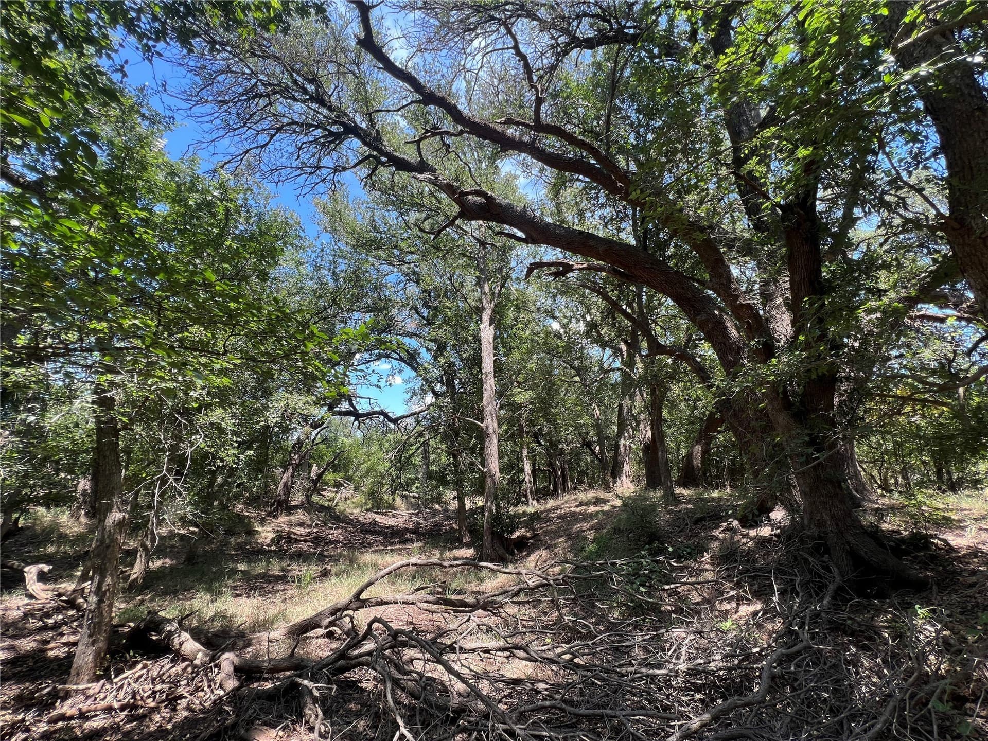 78 acres in Eastland County - photo 2