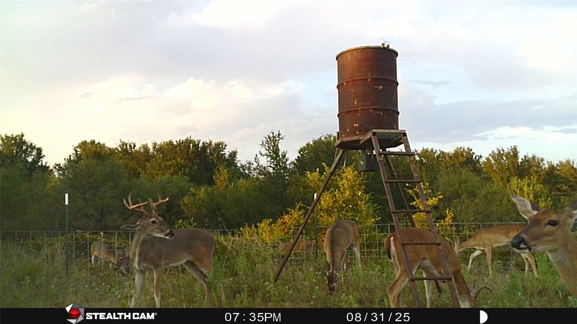 78 acres in Eastland County - photo 29