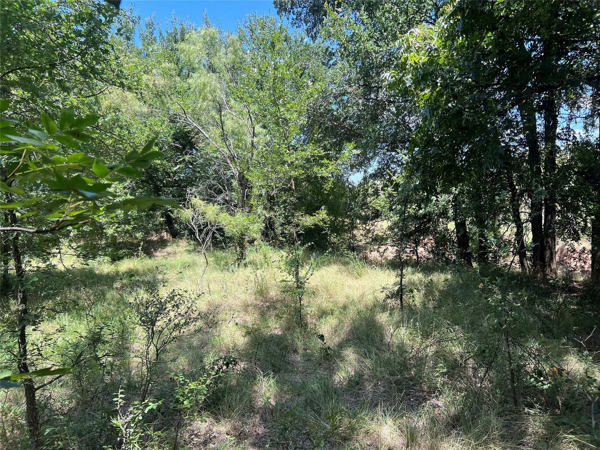 78 acres in Eastland County - photo 13
