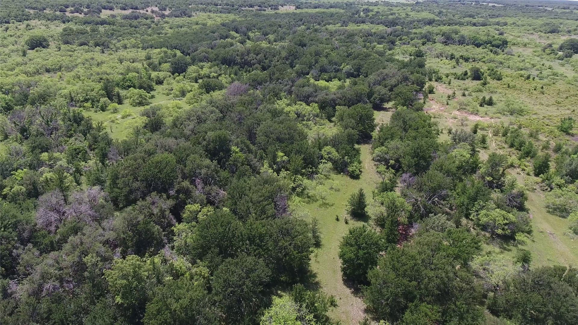 78 acres in Eastland County - photo 9