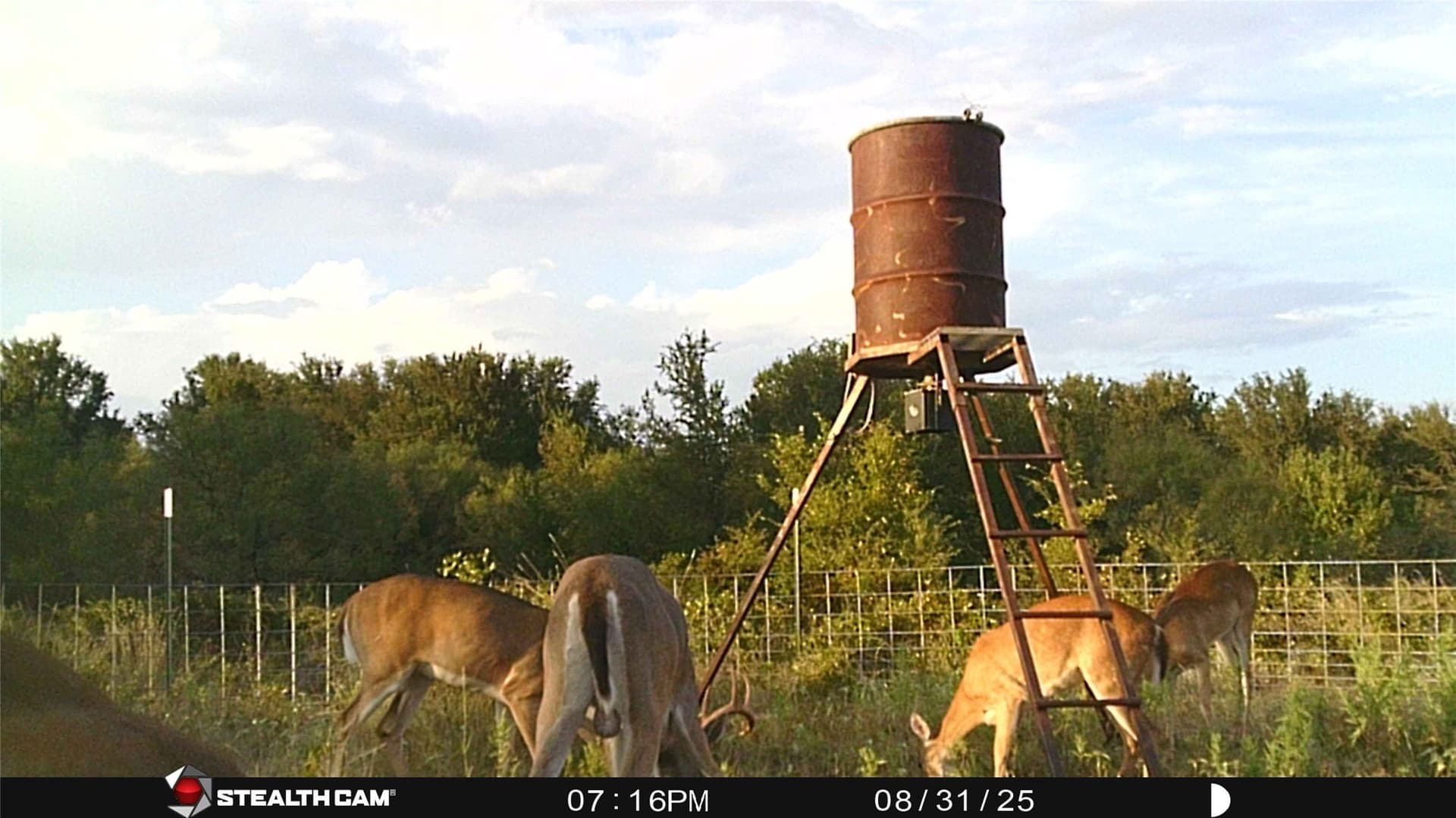 78 acres in Eastland County - photo 27