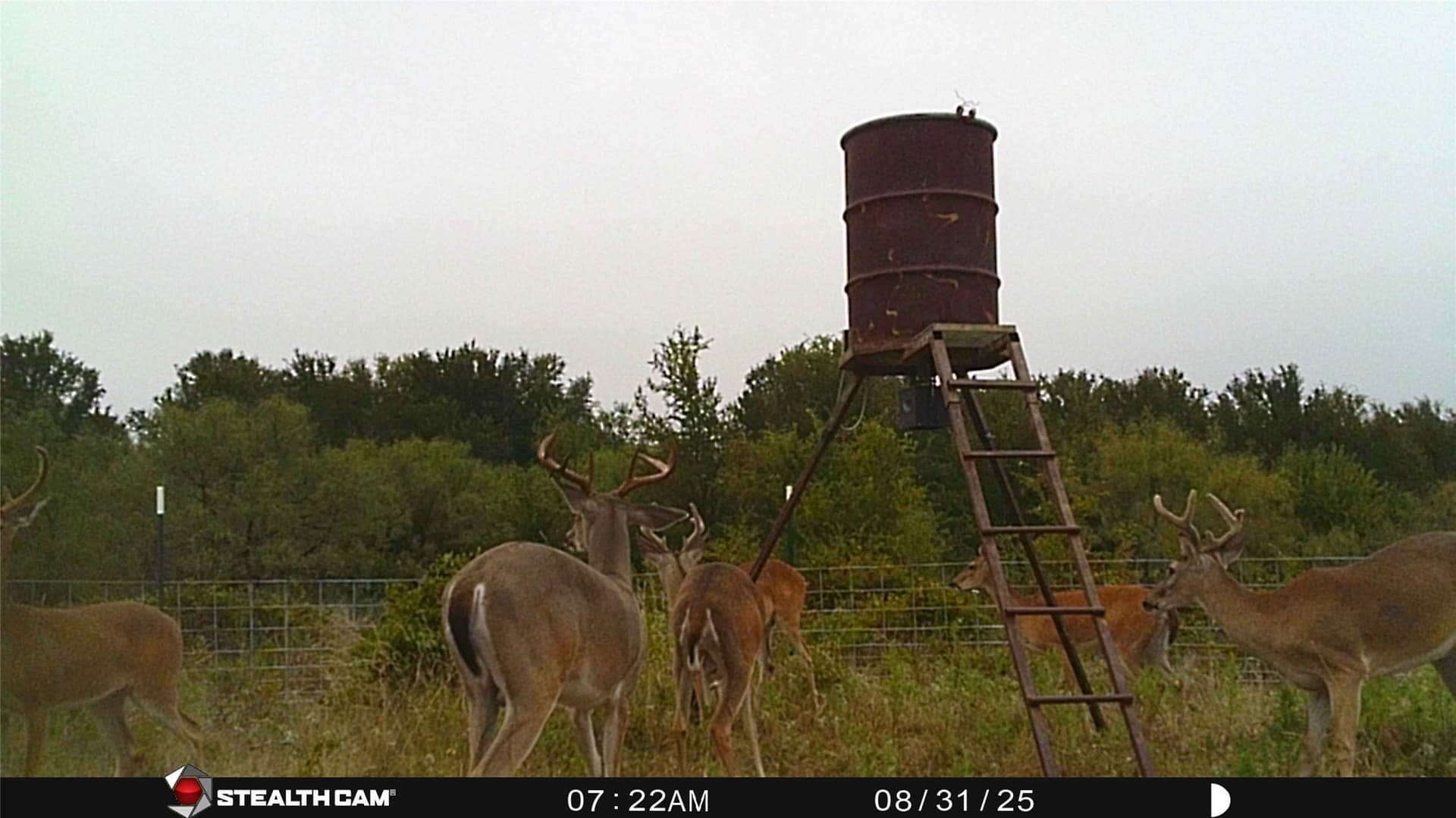 78 acres in Eastland County - photo 26