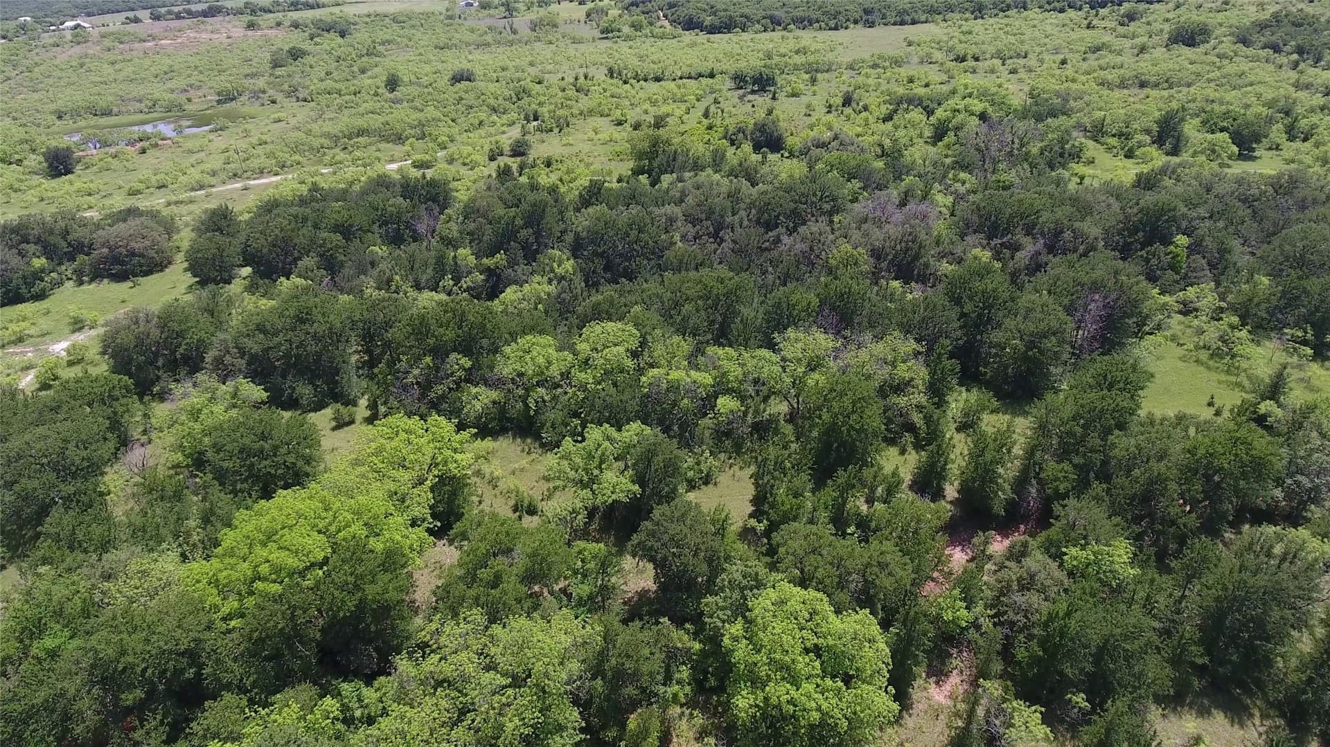 78 acres in Eastland County - photo 12