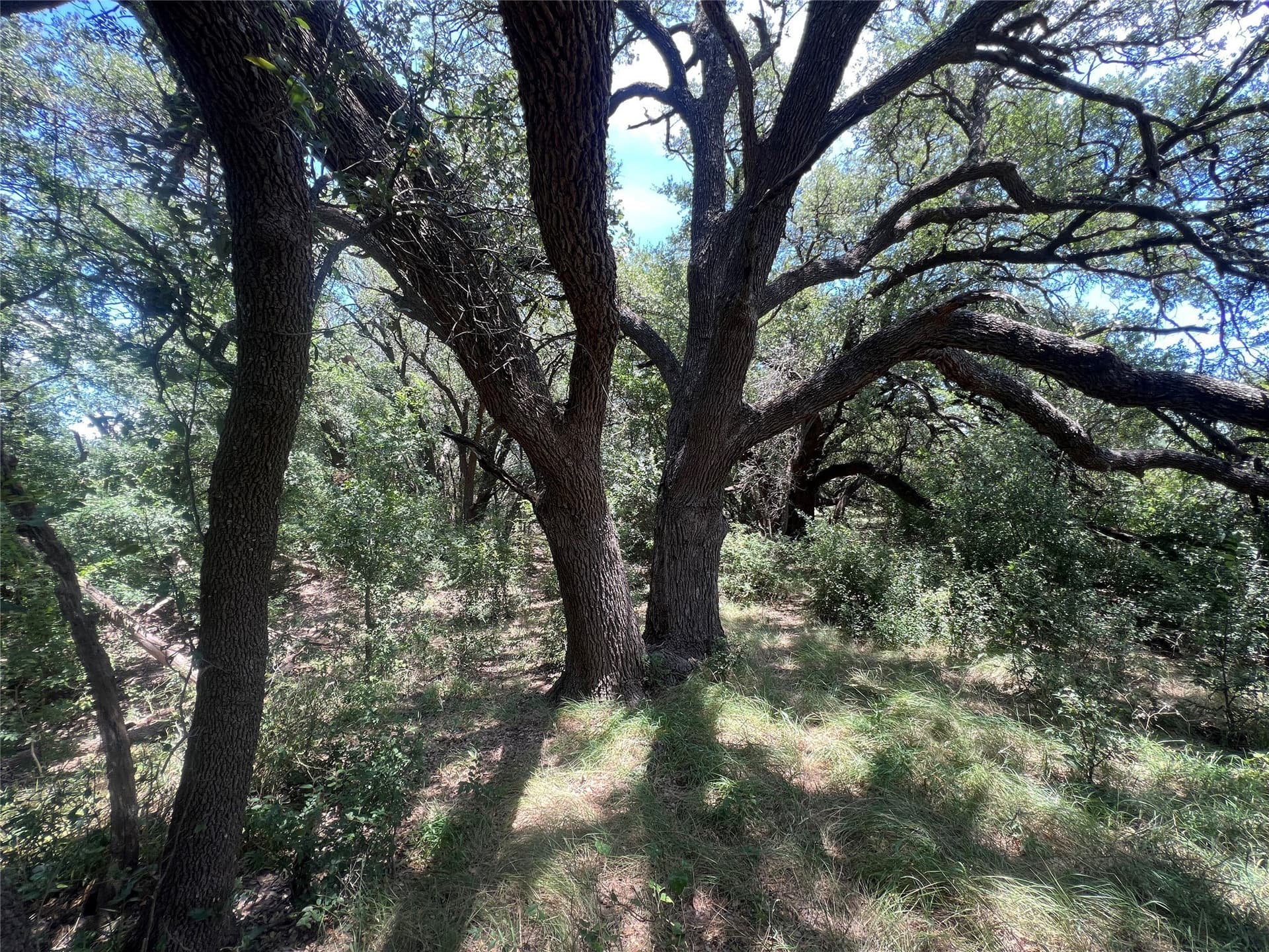 78 acres in Eastland County - photo 3