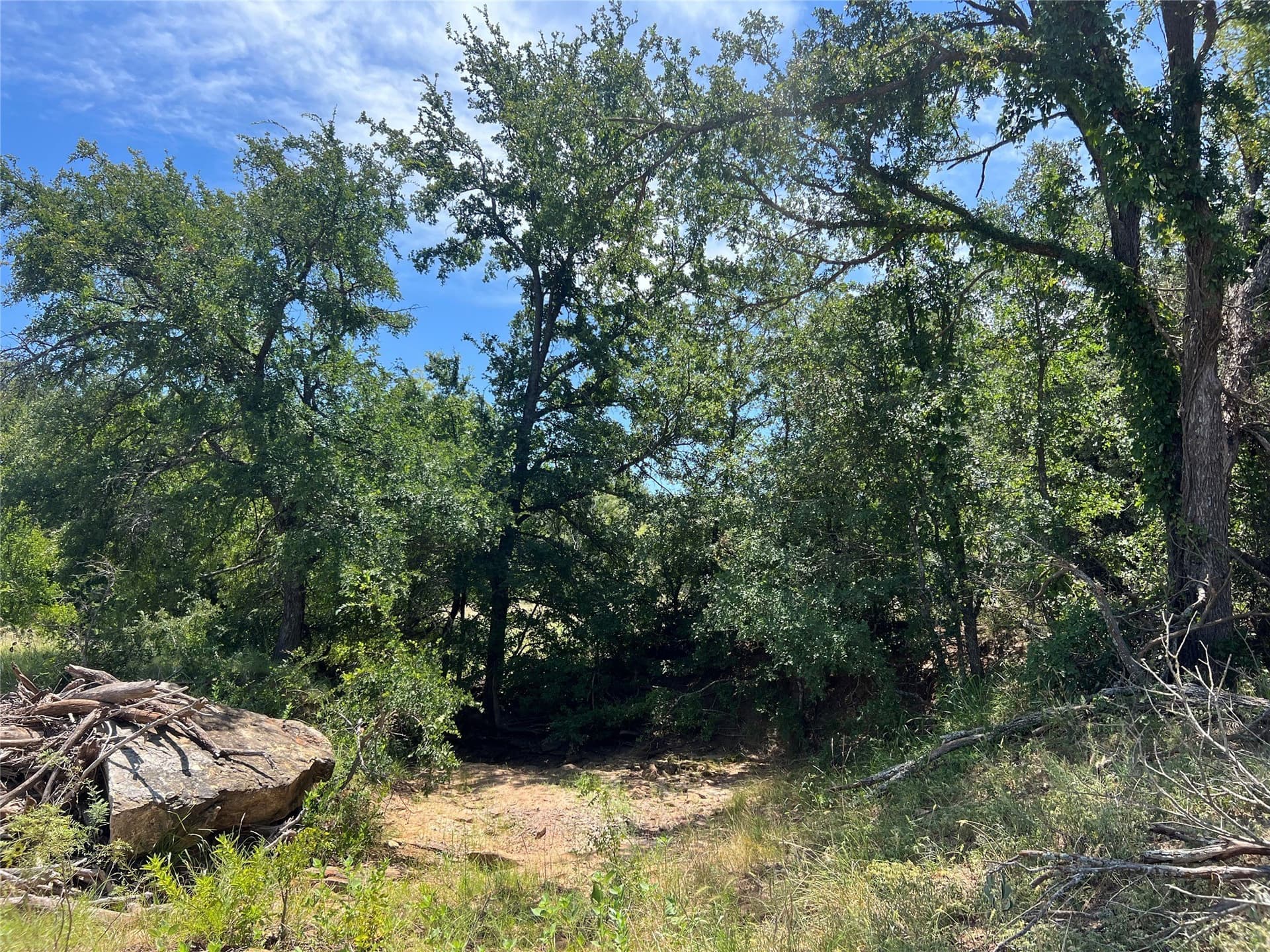 78 acres in Eastland County - photo 11