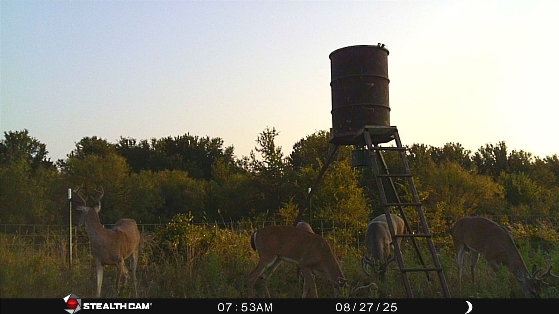 78 acres in Eastland County - photo 31