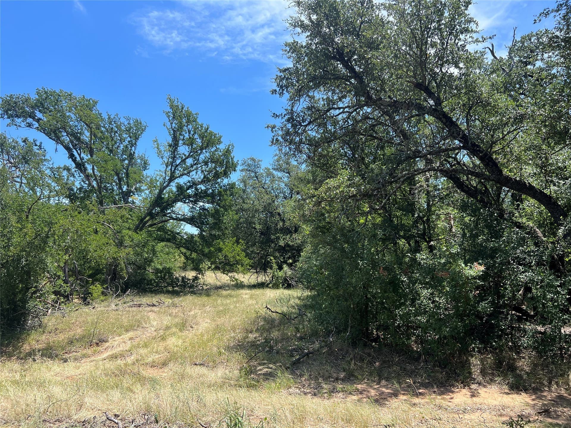 78 acres in Eastland County - photo 15