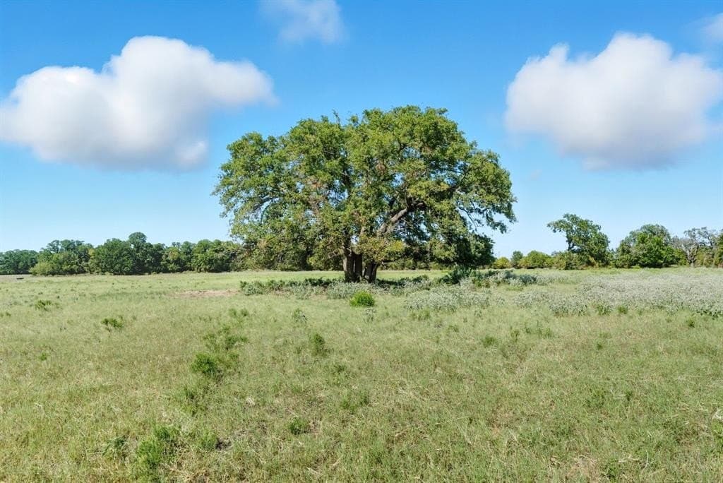 30 acres in Palo Pinto County gallery image 3