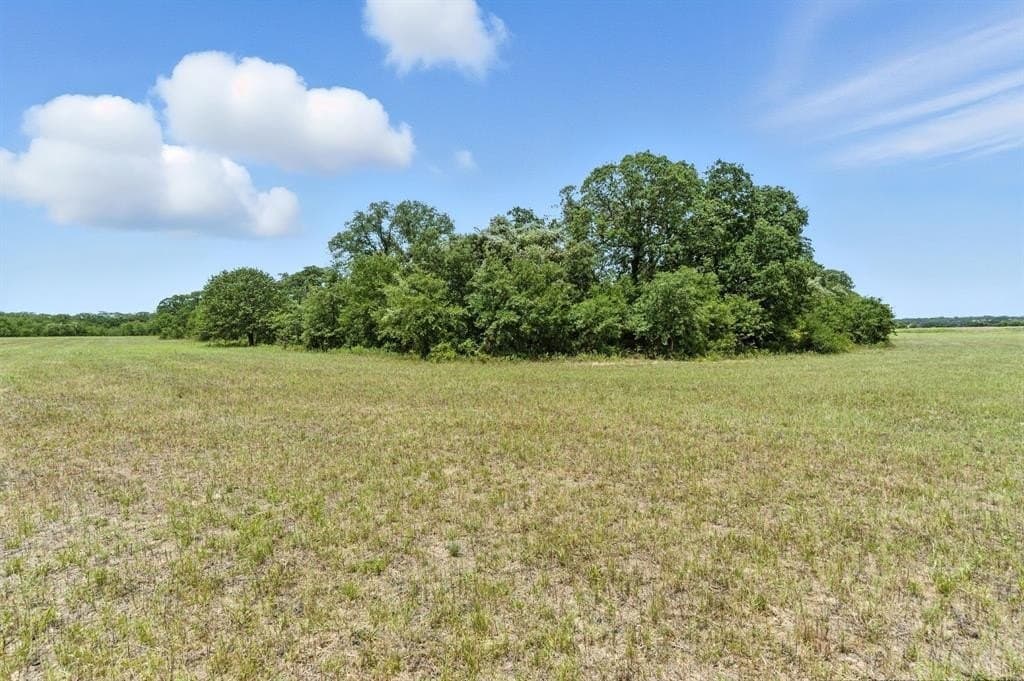30 acres in Palo Pinto County gallery image 4
