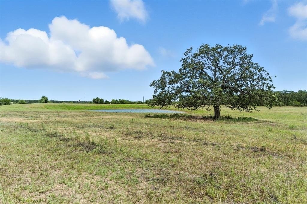 30 acres in Palo Pinto County gallery image 2