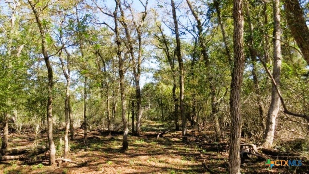 45.52 acres in Robertson County - photo 6