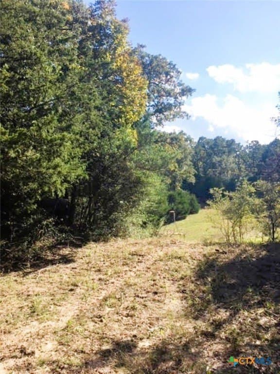 45.52 acres in Robertson County - photo 14