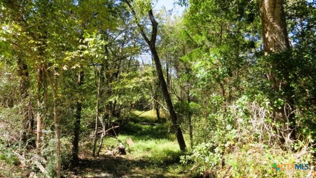 45.52 acres in Robertson County - photo 11
