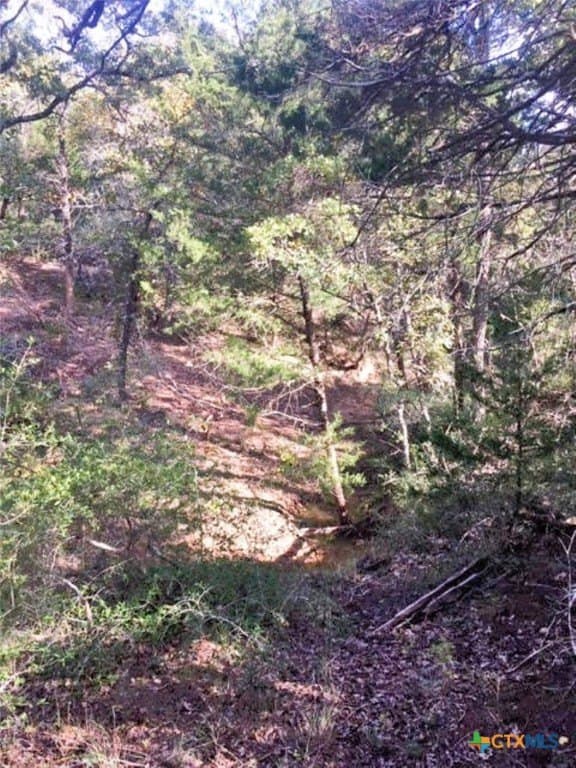 45.52 acres in Robertson County - photo 15