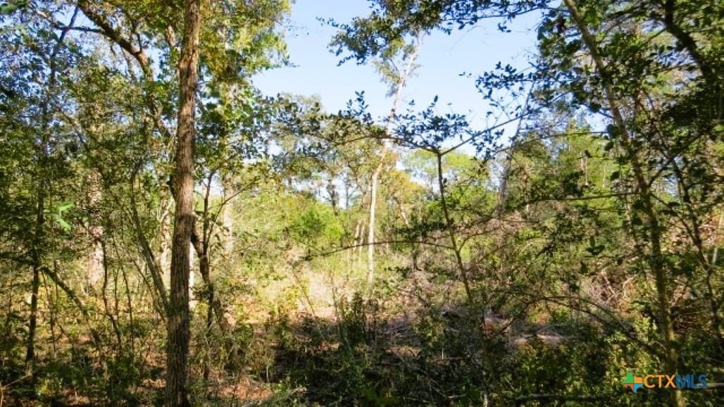 45.52 acres in Robertson County - photo 7