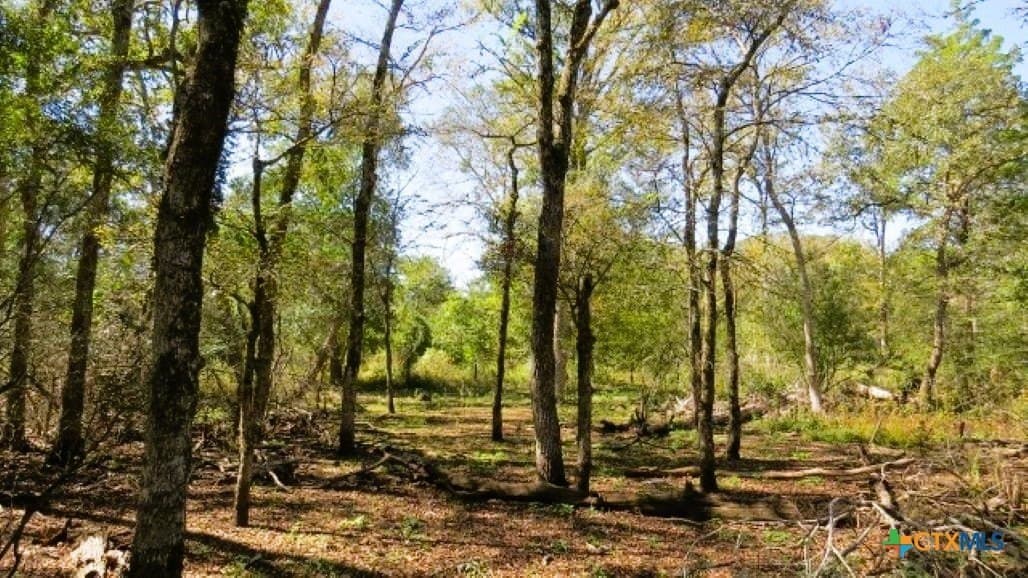 45.52 acres in Robertson County - photo 8
