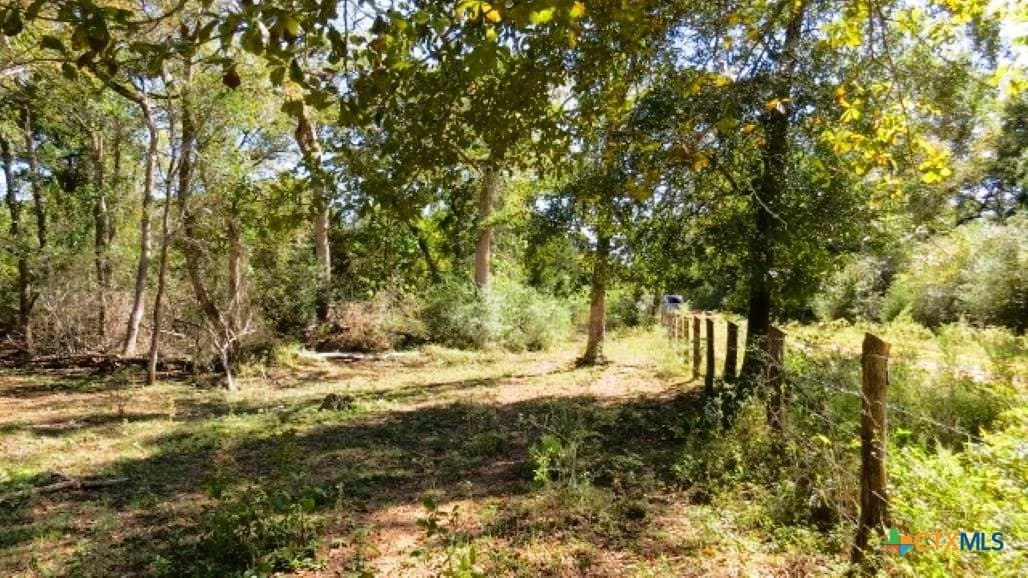 45.52 acres in Robertson County - photo 9
