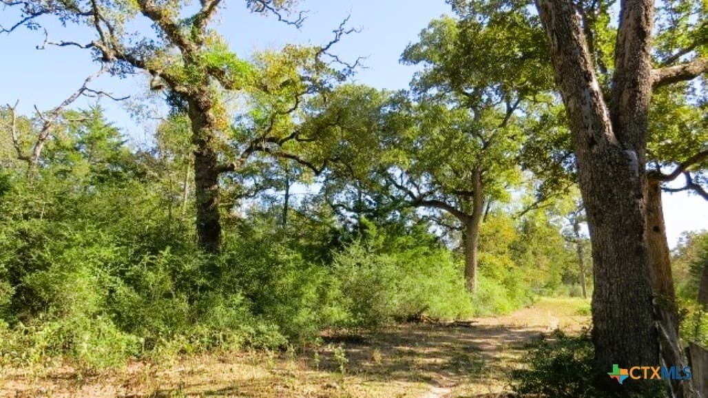 45.52 acres in Robertson County - photo 12