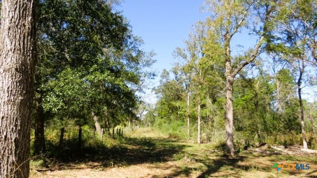 45.52 acres in Robertson County featured view