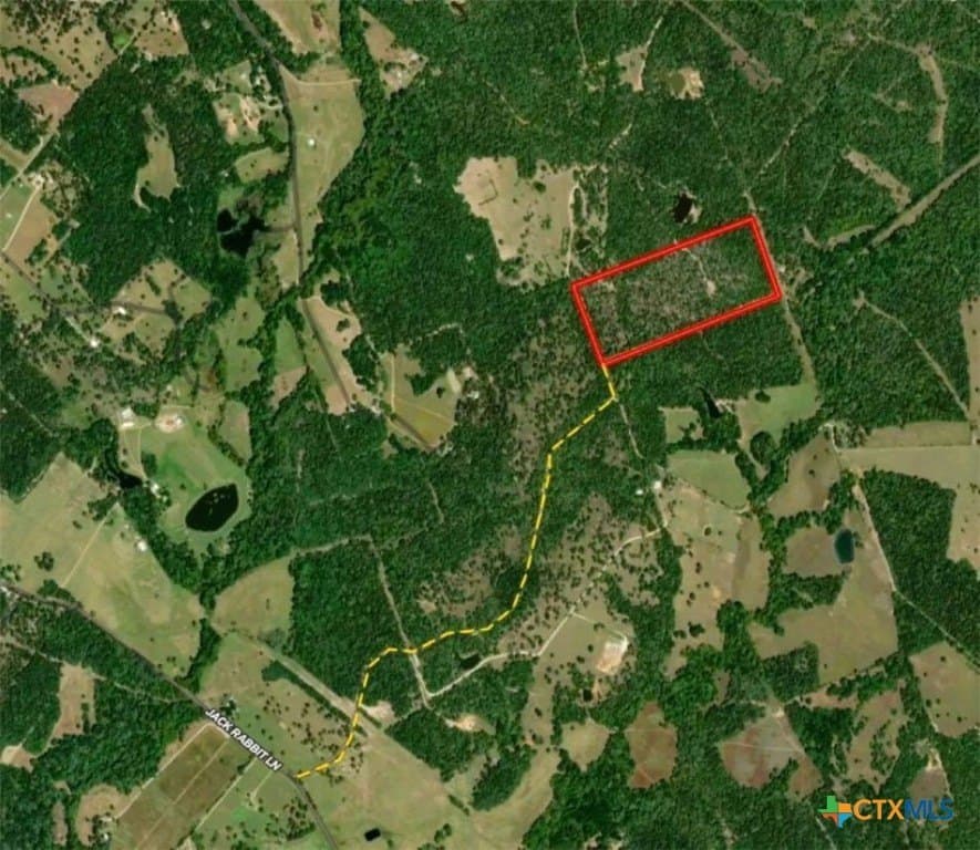 45.52 acres in Robertson County gallery image 2