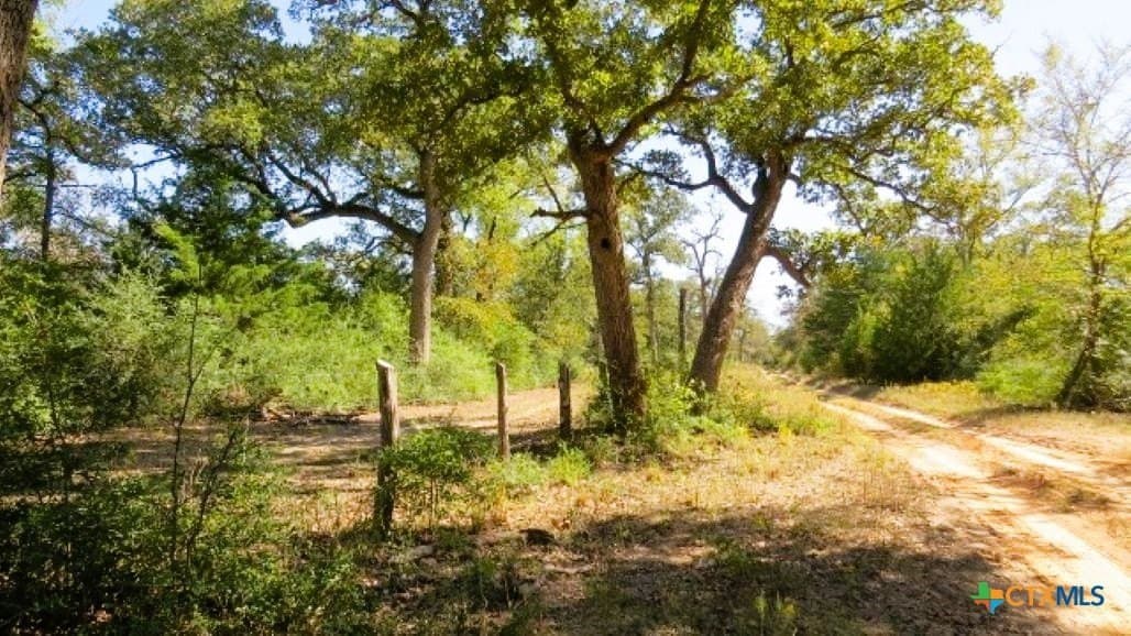 45.52 acres in Robertson County - photo 13