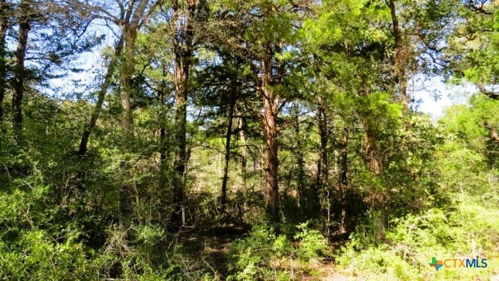 45.52 acres in Robertson County - photo 10
