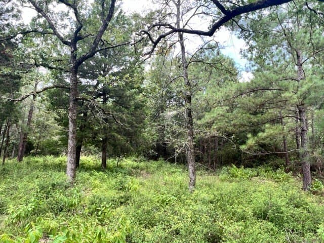 13.3 acres in Freestone County - photo 10