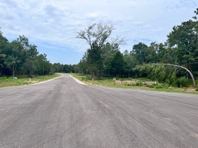 13.3 acres in Freestone County - photo 6