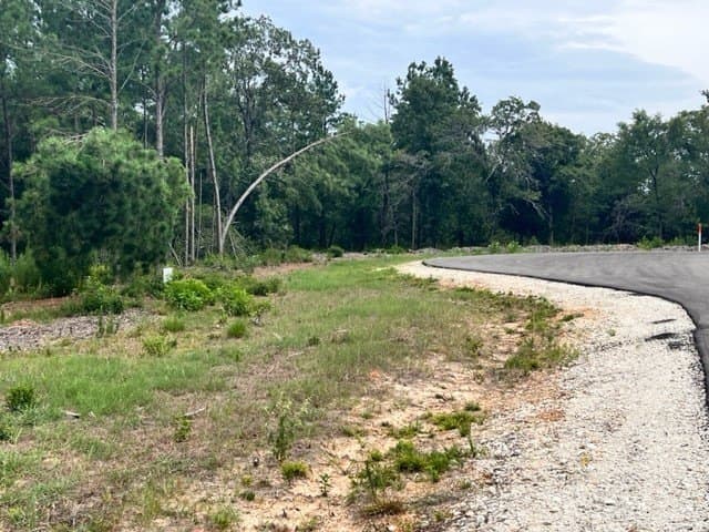 13.3 acres in Freestone County - photo 7