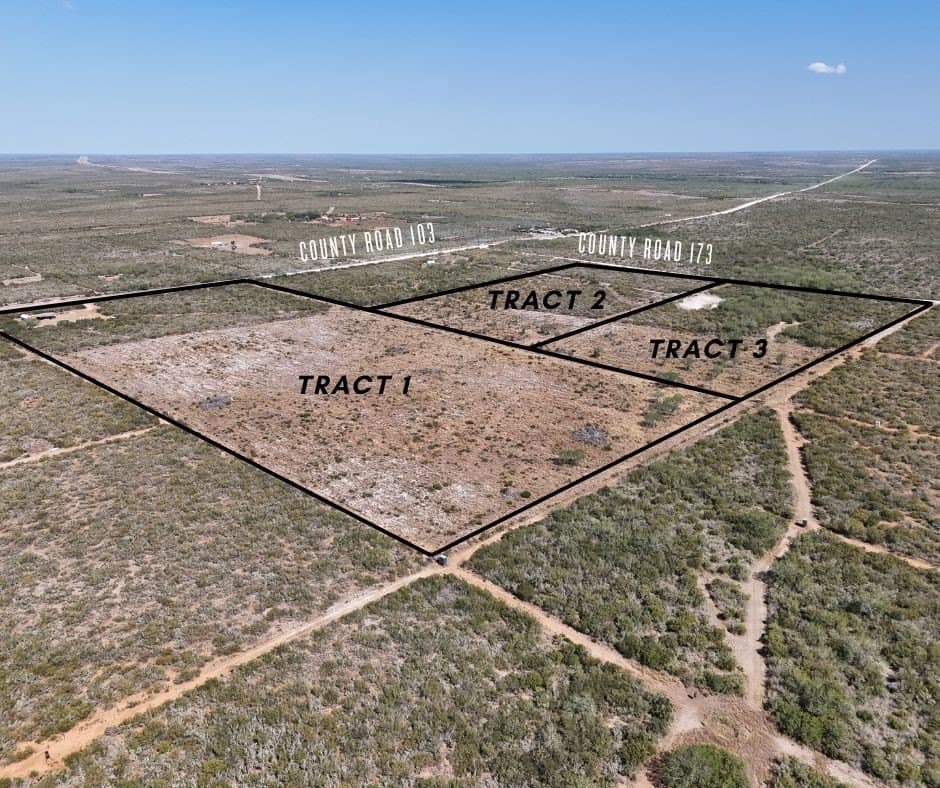 12 acres in Jim Wells County gallery image 3