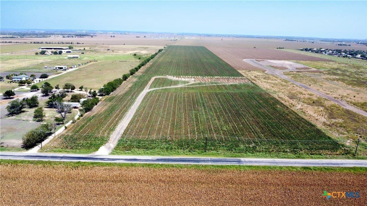 47 acres in Guadalupe County gallery image 3