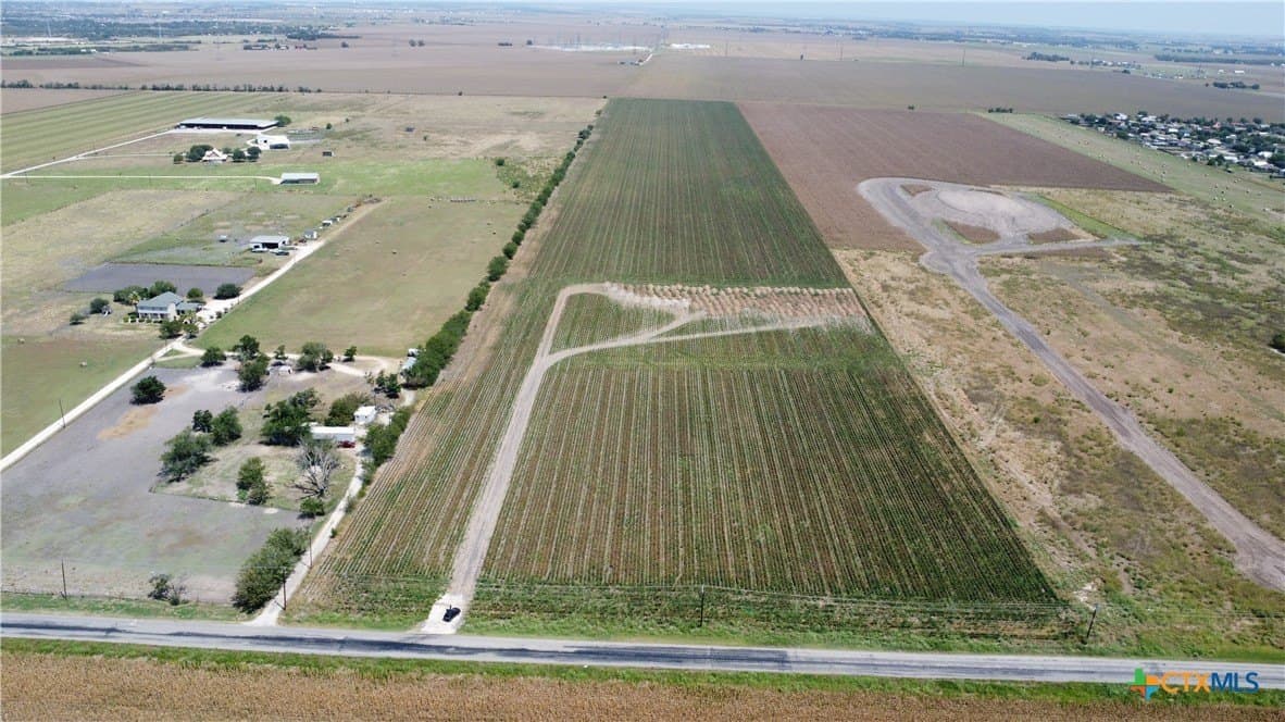 47 acres in Guadalupe County gallery image 2