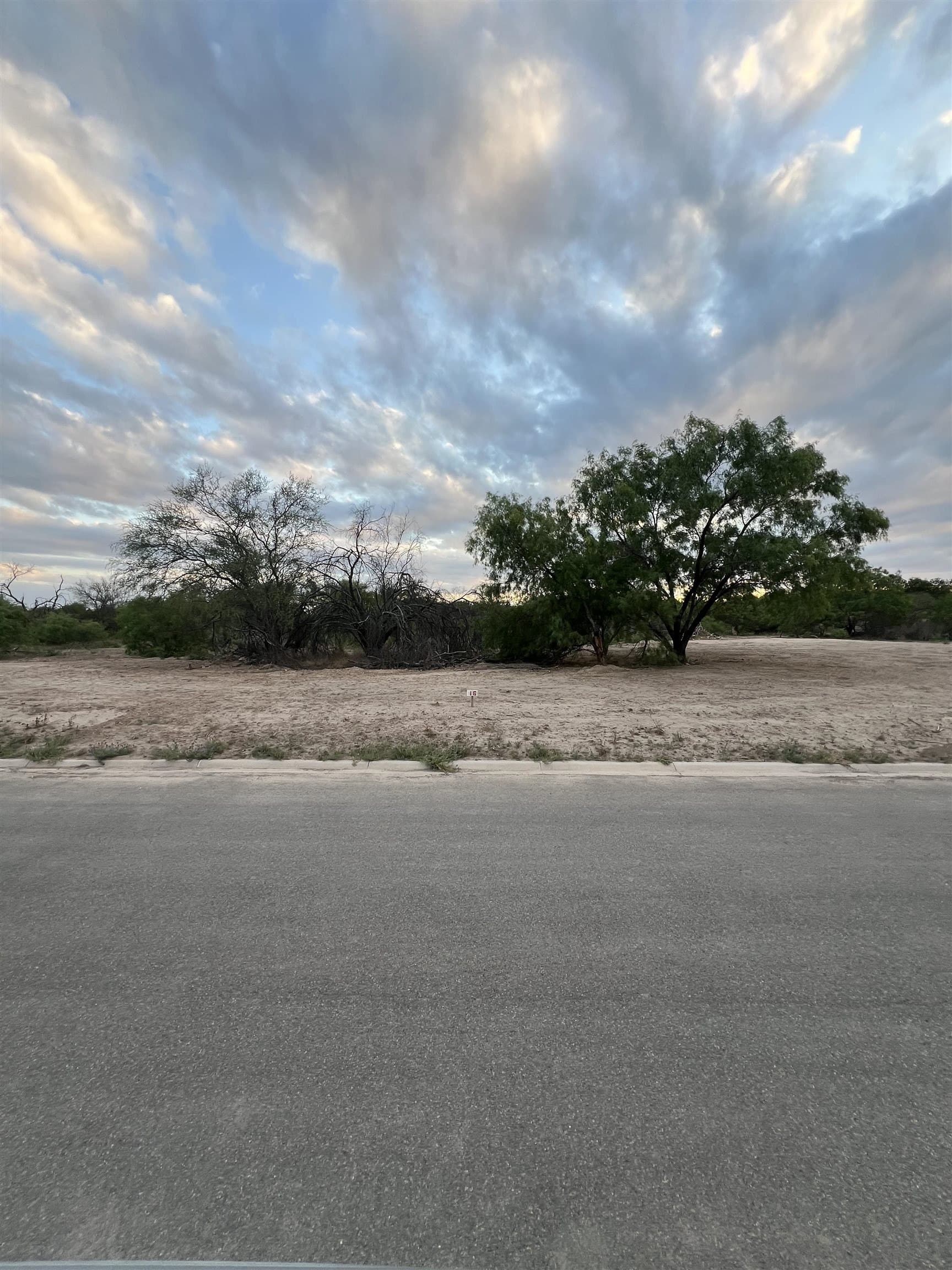 0.45 acres in Val Verde County gallery image 2