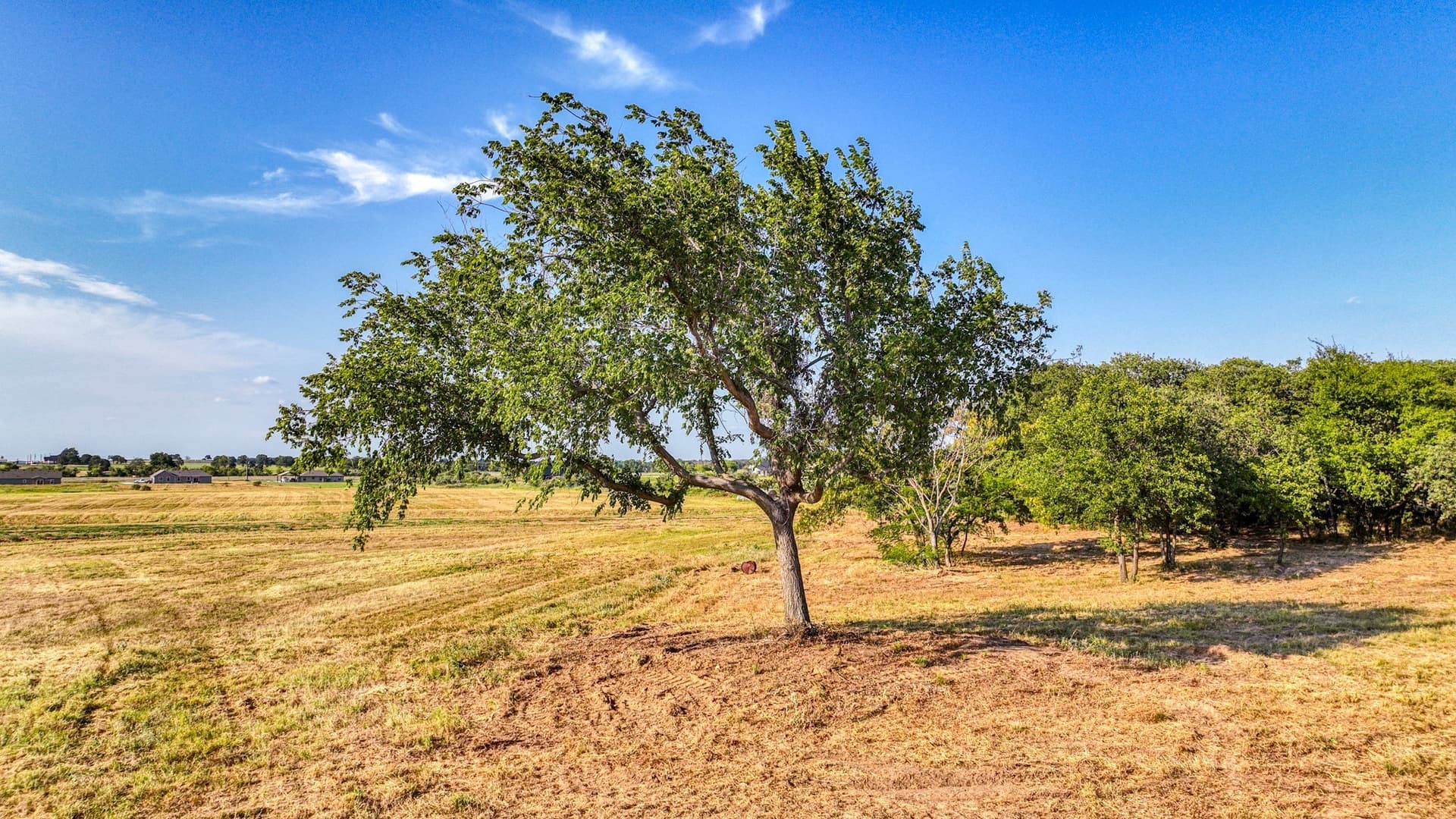 4.41 acres in Parker County - photo 13