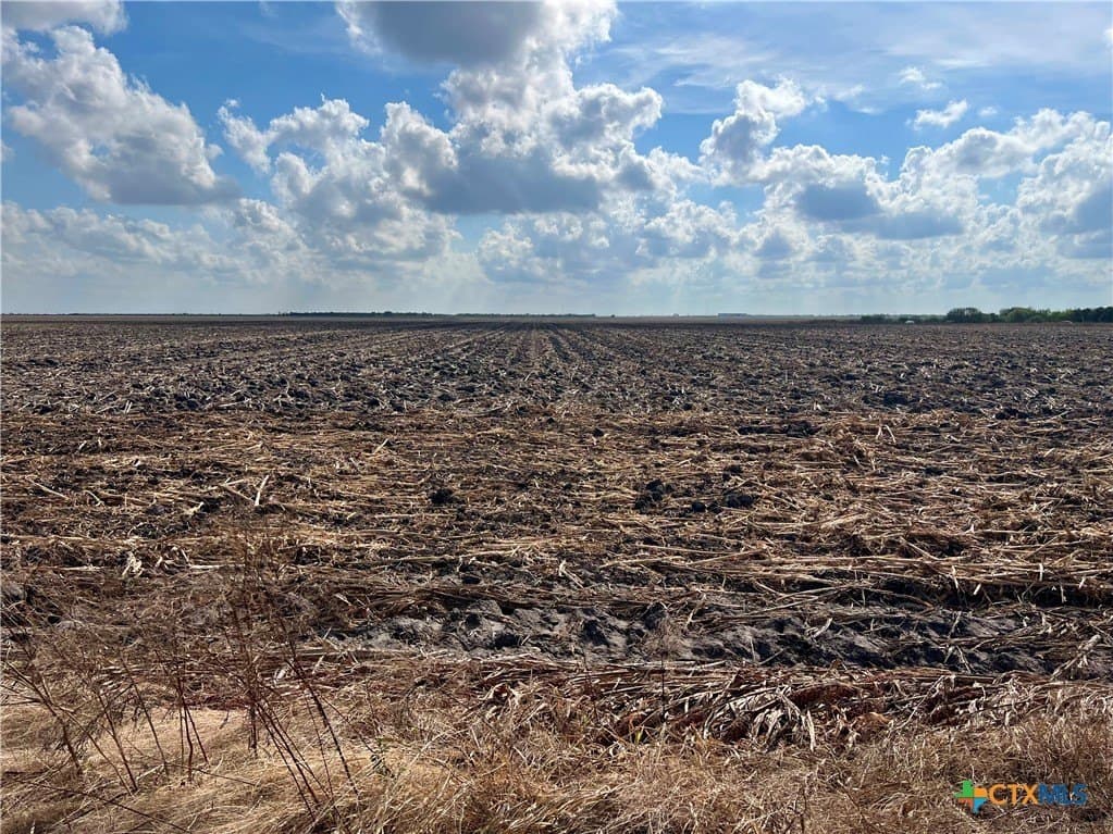 60 acres in Nueces County - photo 2