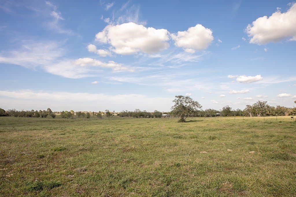 56.21 acres in Austin County gallery image 3