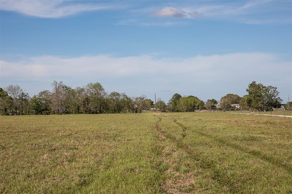 56.21 acres in Austin County gallery image 4