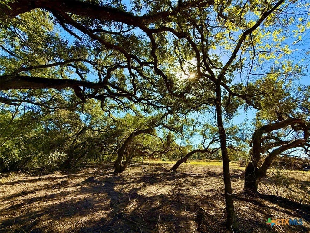 6.23 acres in Victoria County featured view