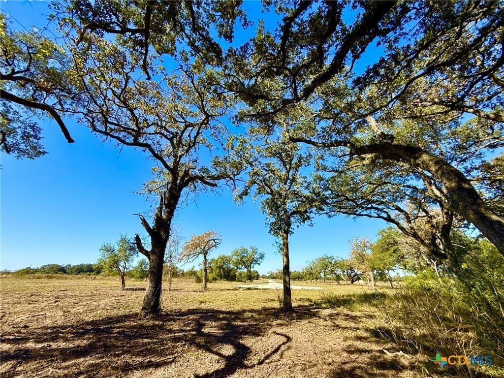 6.23 acres in Victoria County - photo 7