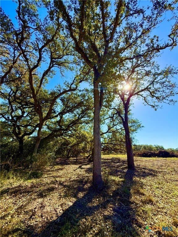 6.23 acres in Victoria County - photo 8