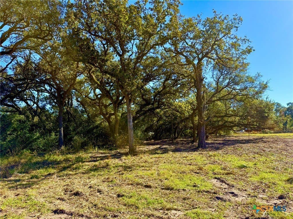 6.23 acres in Victoria County - photo 6