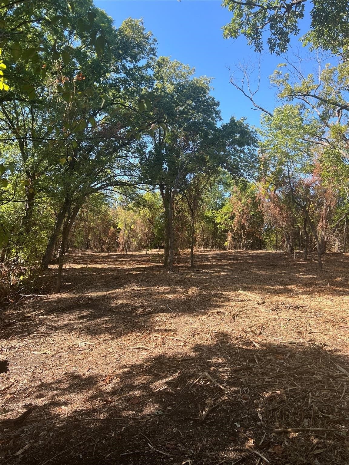 17.56 acres in Grayson County - photo 14