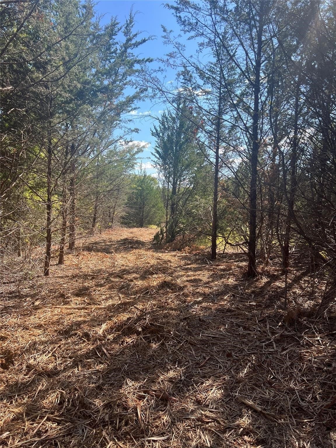 17.56 acres in Grayson County - photo 8