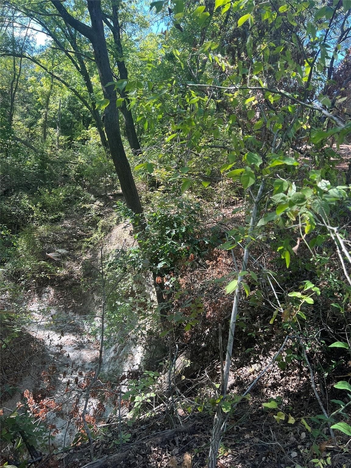17.56 acres in Grayson County - photo 19