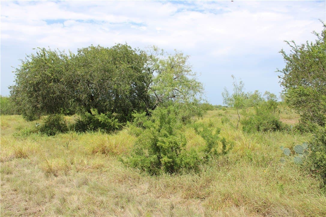 1.84 acres in Live Oak County gallery image 4