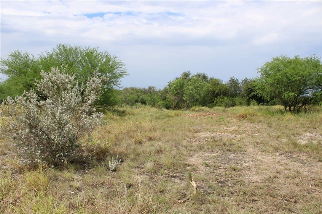 1.84 acres in Live Oak County gallery image 3