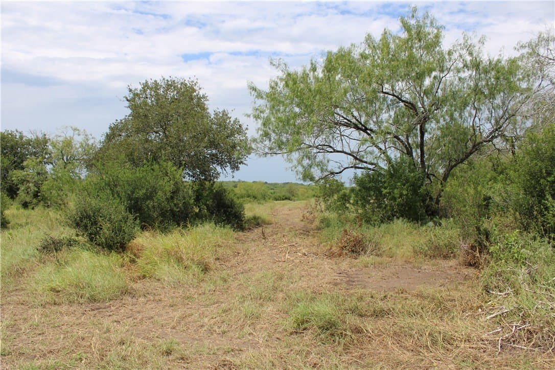 1.84 acres in Live Oak County - photo 6