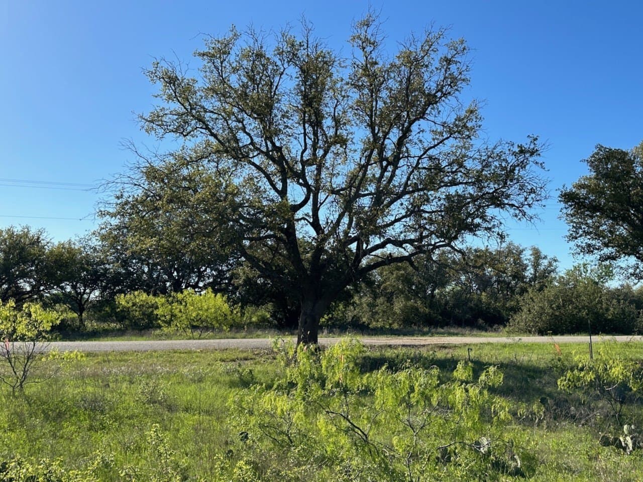 0.46 acres in Brown County - photo 17
