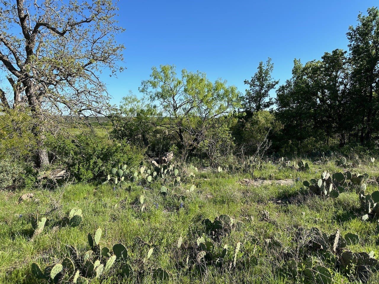 0.46 acres in Brown County - photo 13